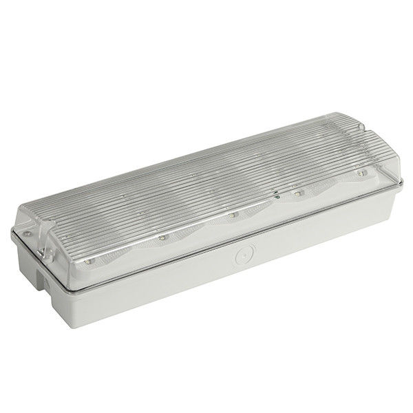 Lampu Darurat LED Tahan Cuaca Terpasang di Permukaan IP65 Baterai Nikel Kadmium 3.6V 0.6Ah EL015AMN