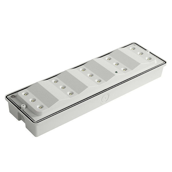 Lampu Darurat LED Tahan Cuaca Terpasang di Permukaan IP65 Baterai Nikel Kadmium 3.6V 0.6Ah EL015AMN