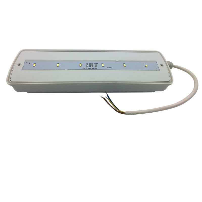 Lampu darurat tahan air IP65 plastik Ni-Cd dengan cadangan baterai 3 jam L116N-E