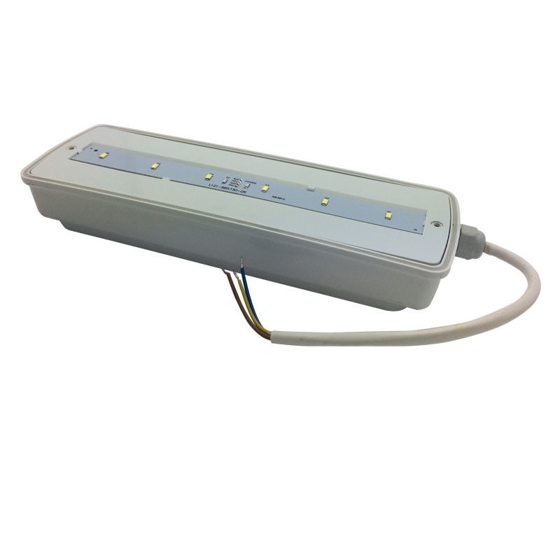 Lampu darurat tahan air IP65 plastik Ni-Cd dengan cadangan baterai 3 jam L116N-E