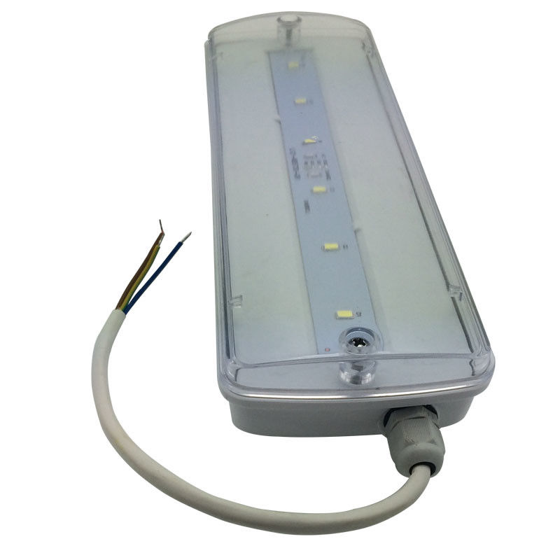 Lampu darurat tahan air IP65 plastik Ni-Cd dengan cadangan baterai 3 jam L116N-E