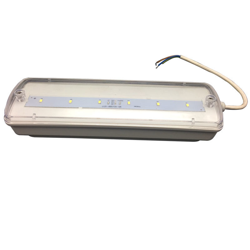 Lampu darurat tahan air IP65 plastik Ni-Cd dengan cadangan baterai 3 jam L116N-E