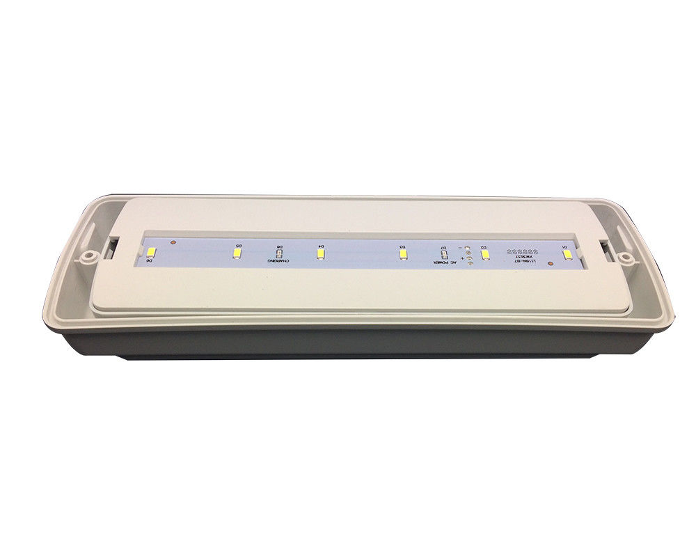 Lampu Darurat Tahan Air IP65 Industri Kecil Lokasi Basah Luar Ruangan 3 Jam L116N-D