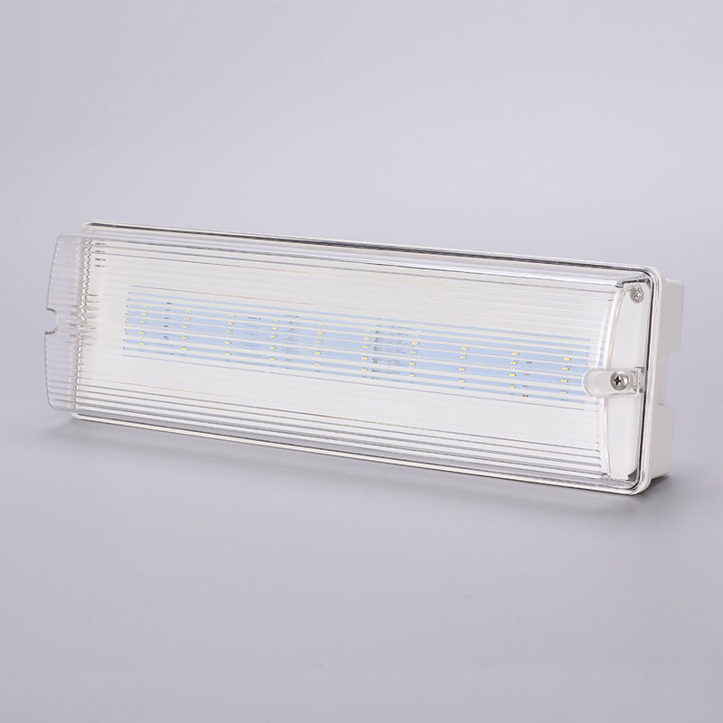 Lampu darurat LED tahan air 3H Ni Cd Baterai cadangan 3.6V 1.0Ah 5pcs SMD 5730 IP65 6500K