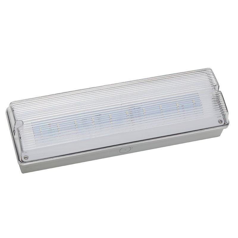 Lampu darurat LED tahan air 3H Ni Cd Baterai cadangan 3.6V 1.0Ah 5pcs SMD 5730 IP65 6500K