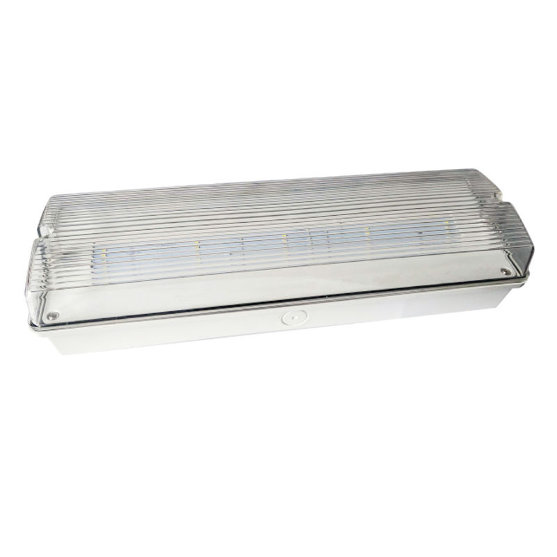 Lampu Darurat LED Tahan Cuaca untuk Lift IP65 220V 240V 3J Baterai Cadangan Ni-Cd Luminer