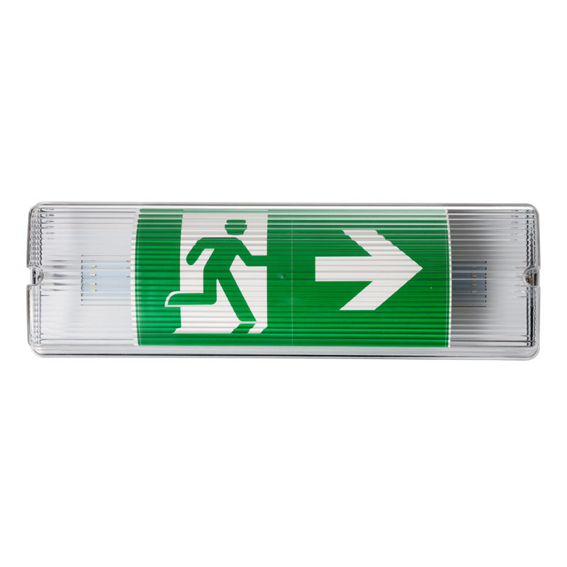 Lampu Darurat LED Tahan Cuaca untuk Lift IP65 220V 240V 3J Baterai Cadangan Ni-Cd Luminer