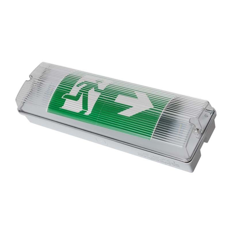 Lampu Darurat LED Tahan Cuaca untuk Lift IP65 220V 240V 3J Baterai Cadangan Ni-Cd Luminer