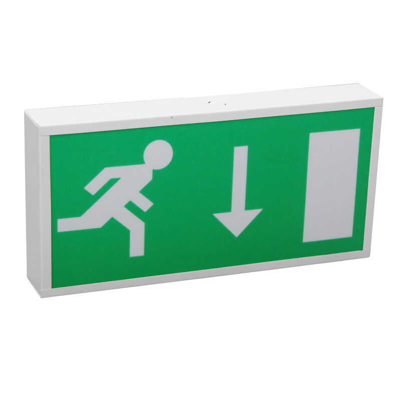 Pictogram Ni-Cd Battery Backup LED Emergency Exit Light 5730 SMD Garansi 3 tahun