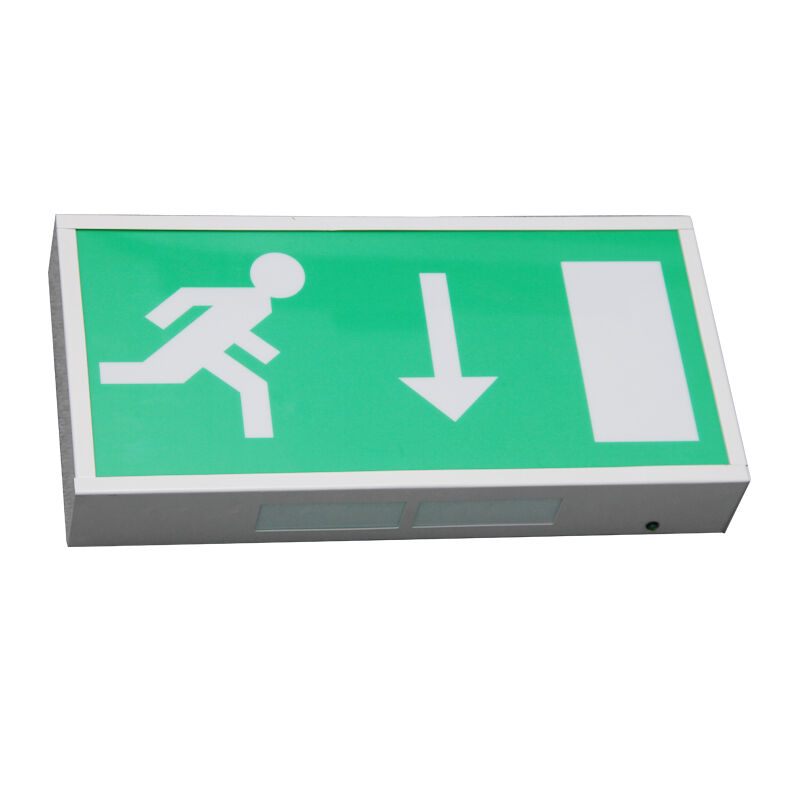 Pictogram Ni-Cd Battery Backup LED Emergency Exit Light 5730 SMD Garansi 3 tahun