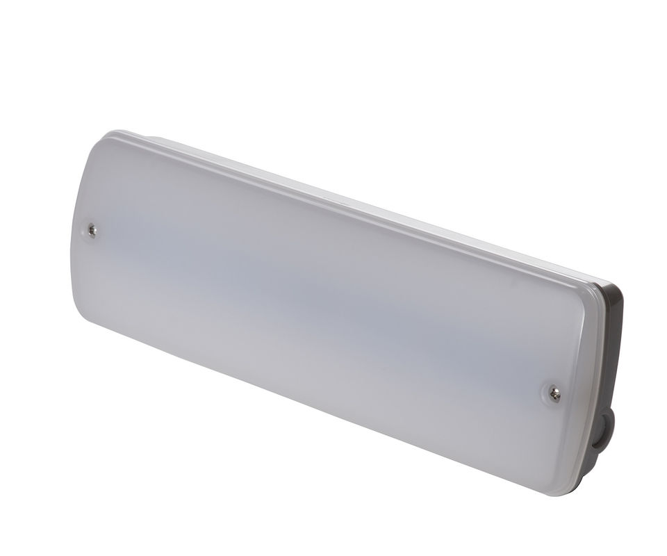 Dipertahankan Tidak Dipertahankan 3W Waterproof Emergency Light Wet Location Outdoor 3 Tahun Garansi IP65 L121N