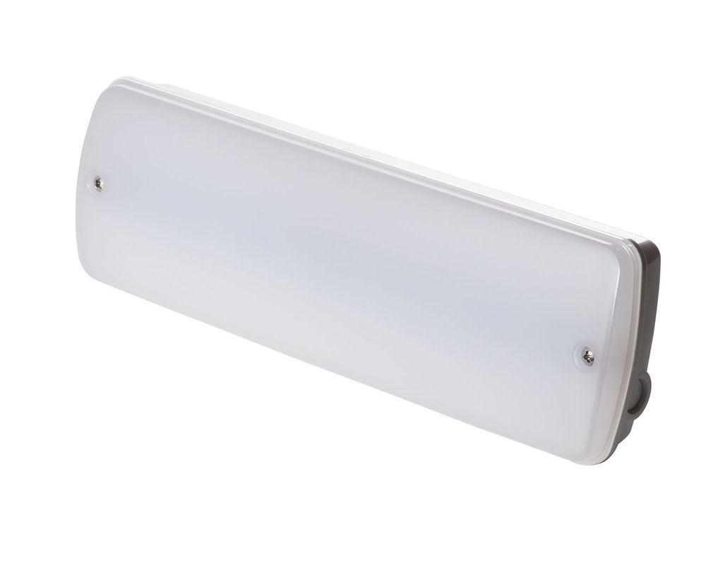 Lampu Darurat Tahan Air Industri 220V Lokasi Basah Luar Ruangan dengan Cadangan Baterai LED L121N