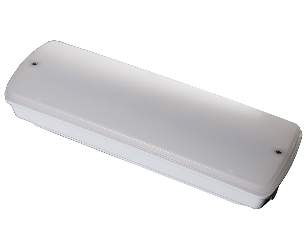 Lampu Darurat Tahan Air Industri 220V Lokasi Basah Luar Ruangan dengan Cadangan Baterai LED L121N